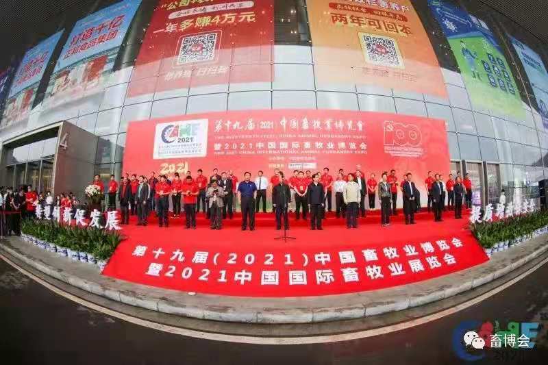 1621496371980934.jpg 4b38a0ffff96f4bb5be6e40cf0500e2.jpg